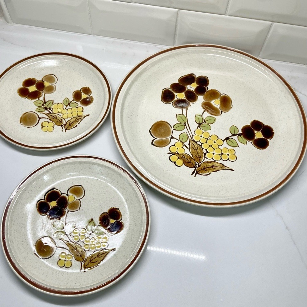 Hearthside Floral Expressions Stoneware Hand Painted Plate Set FOLIAGETIME Japan